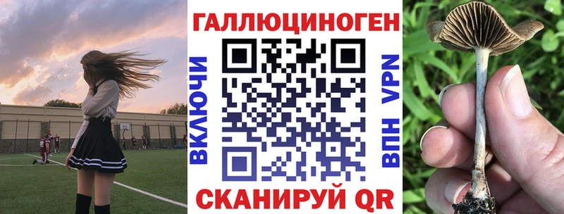 Псилоцибиновые грибы прущие грибы  Шумерля 